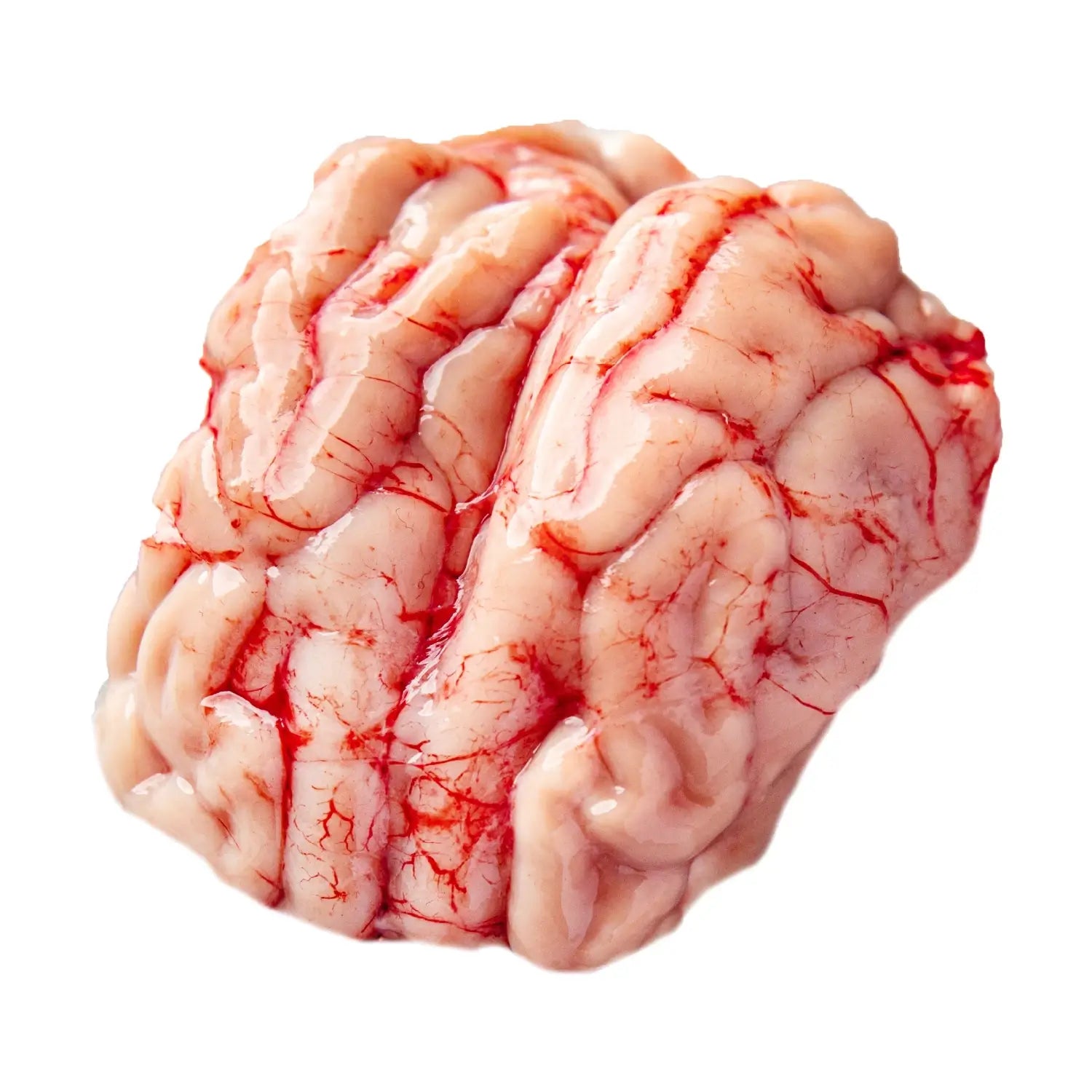 Halal Beef Brain