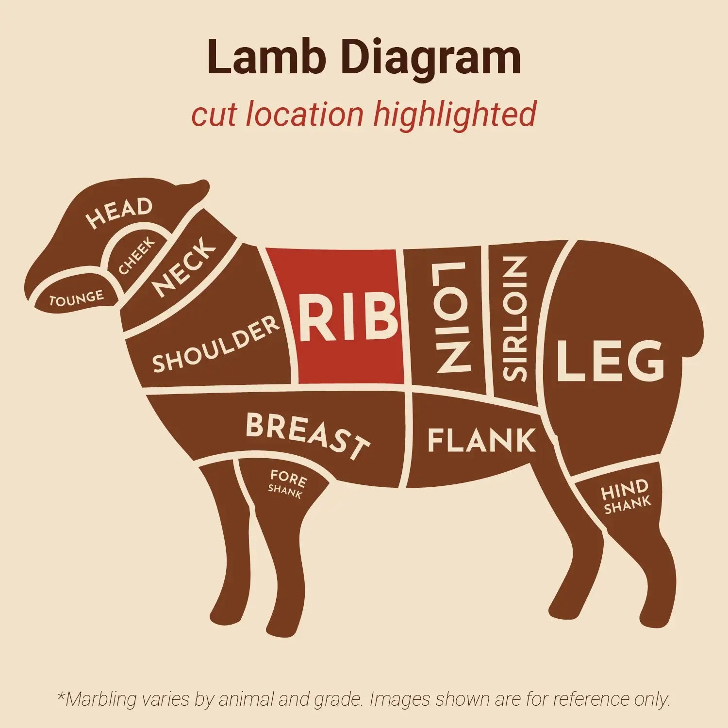 Halal Lamb Rack Frenched 24–26 oz (AUS or NZ)