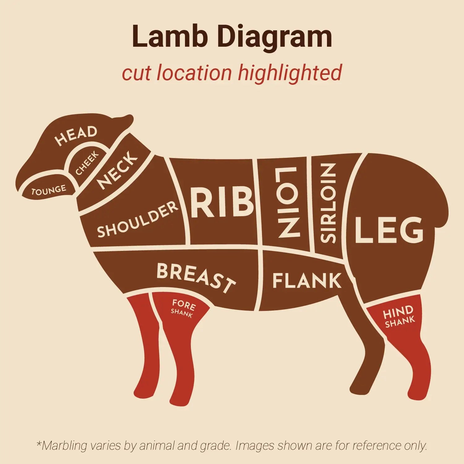 Halal Lamb Shanks 14-18 oz (AUS or NZ)